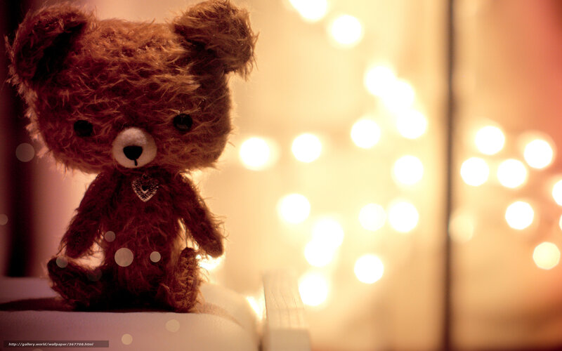Brown Teddy Bear — Warm, Night