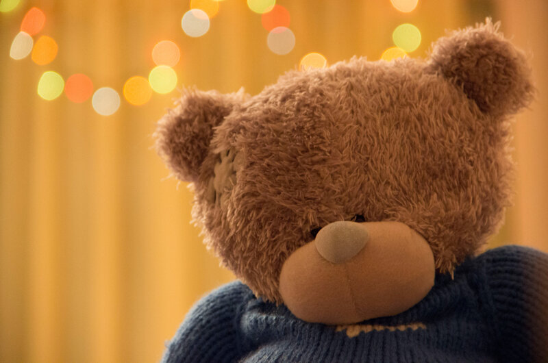 Brown Teddy Bear — Warm