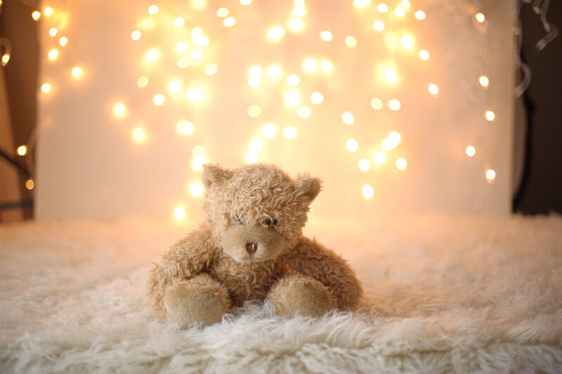 Brown Teddy Bear — White