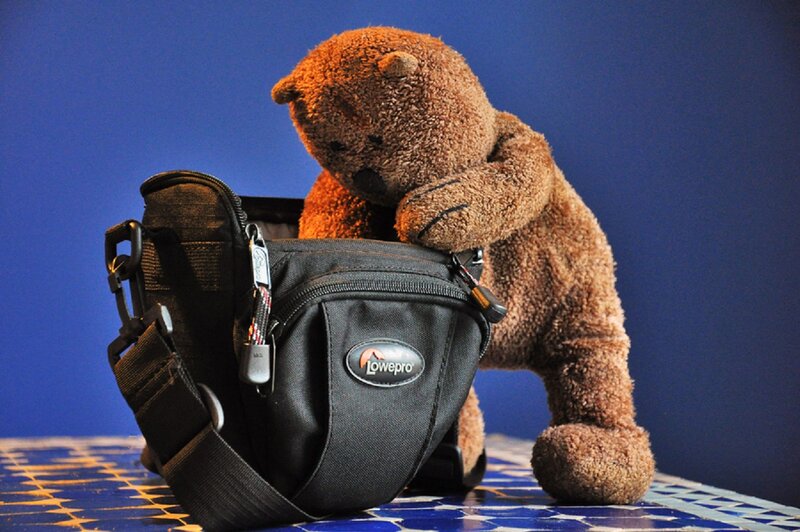 Brown Teddy Bear with Bag