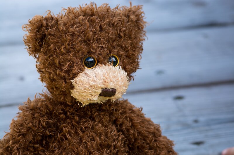 brown teddy bear with big eyes