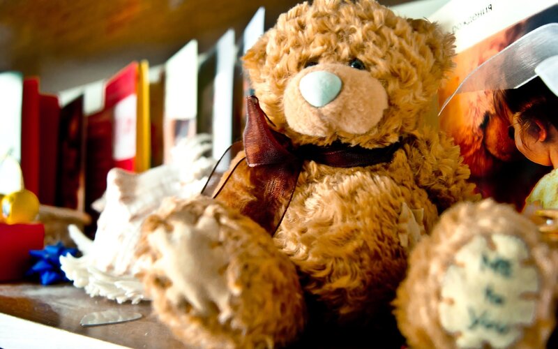 Brown Teddy Bear with Bow — Calm
