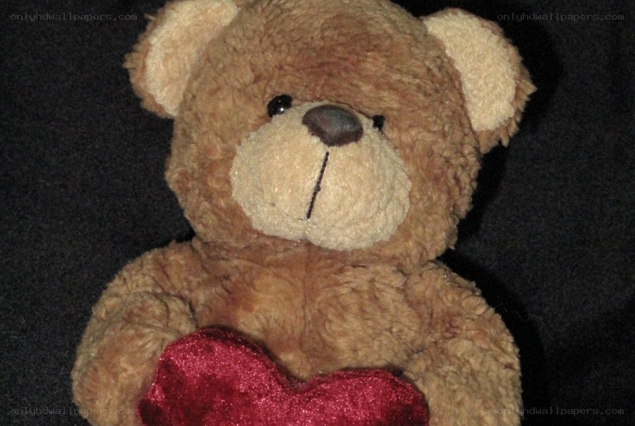 brown teddy bear with red heart
