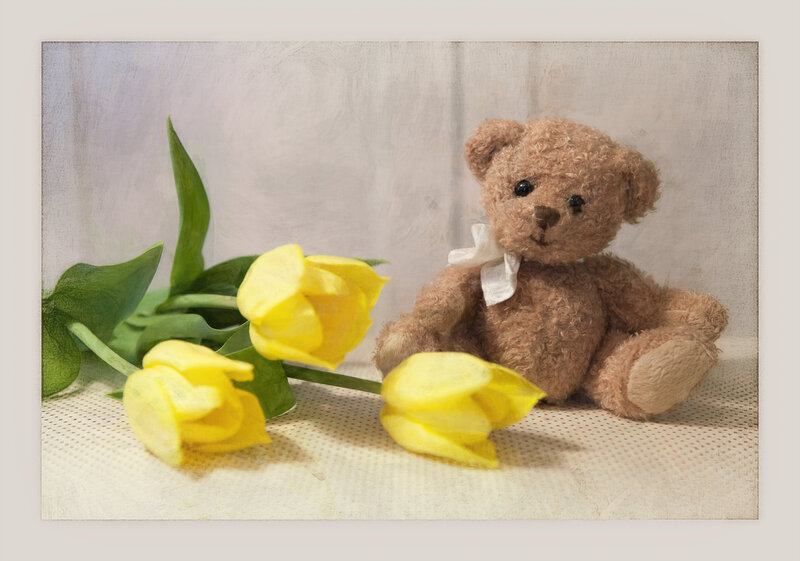 Brown Teddy Bear — Yellow