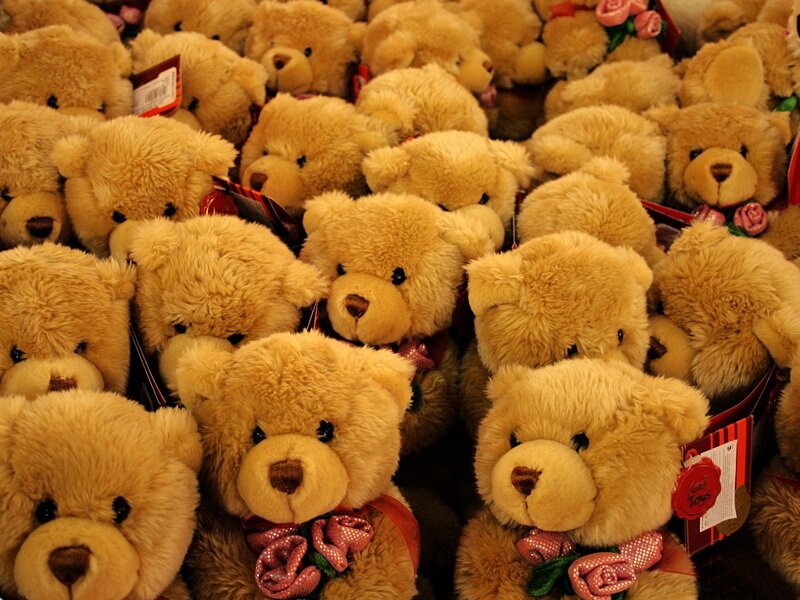 Brown Teddy Bears — Calm, Photograph