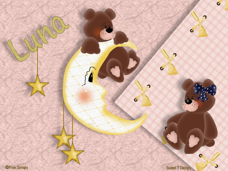 Brown Teddy Bears on Moon