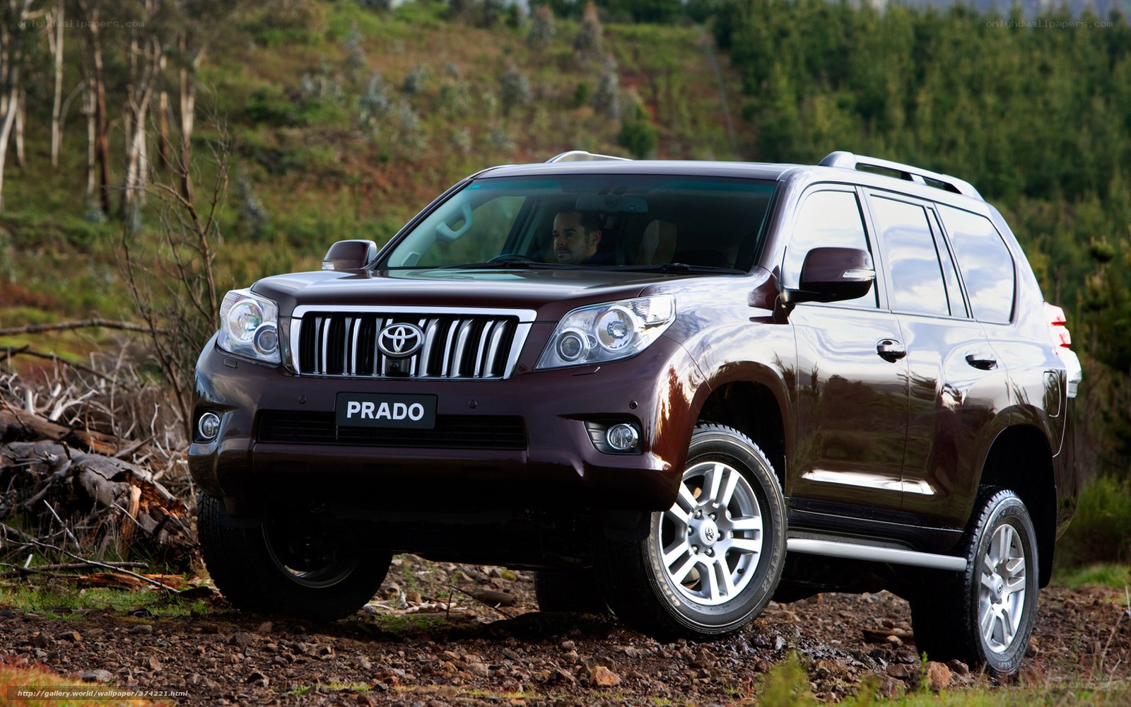 Brown Toyota Prado on dirt path
