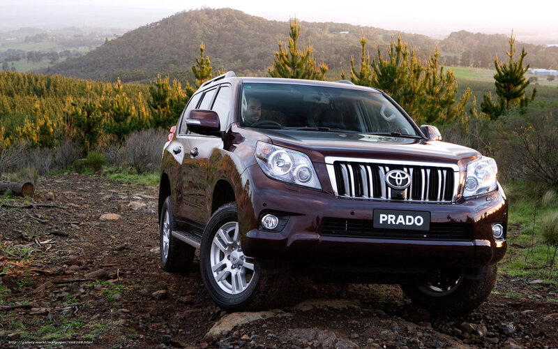 Brown Toyota Prado on dirt road