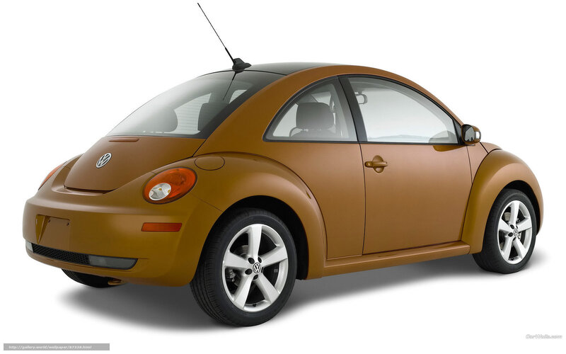 Brown Volkswagen Beetle — Neutral