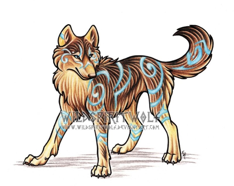 Brown Wolf with Blue Markings