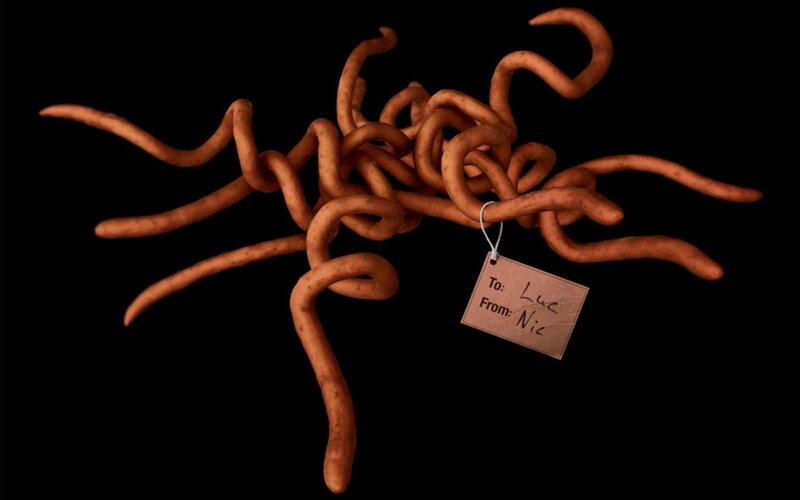 Brown Worms with Tag