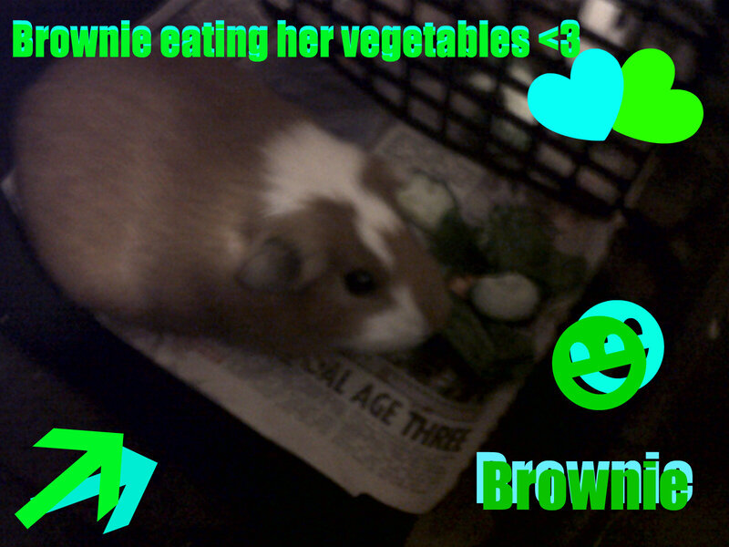 Brownie eating vegetables