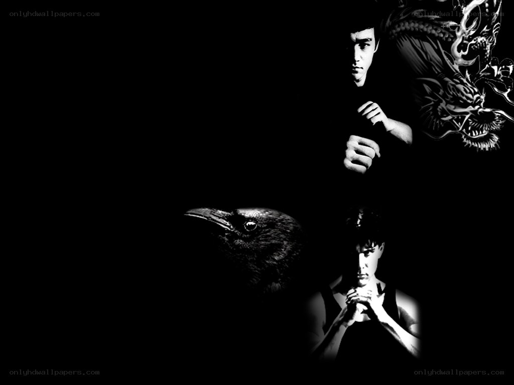 Bruce Lee and martial arts collage