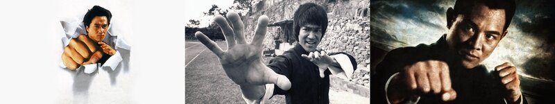 Bruce Lee and martial arts icons