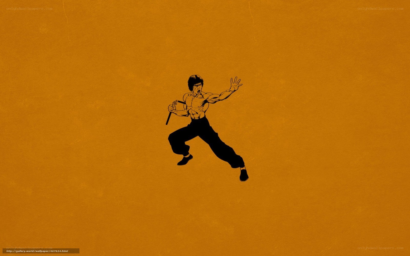 Bruce Lee in action