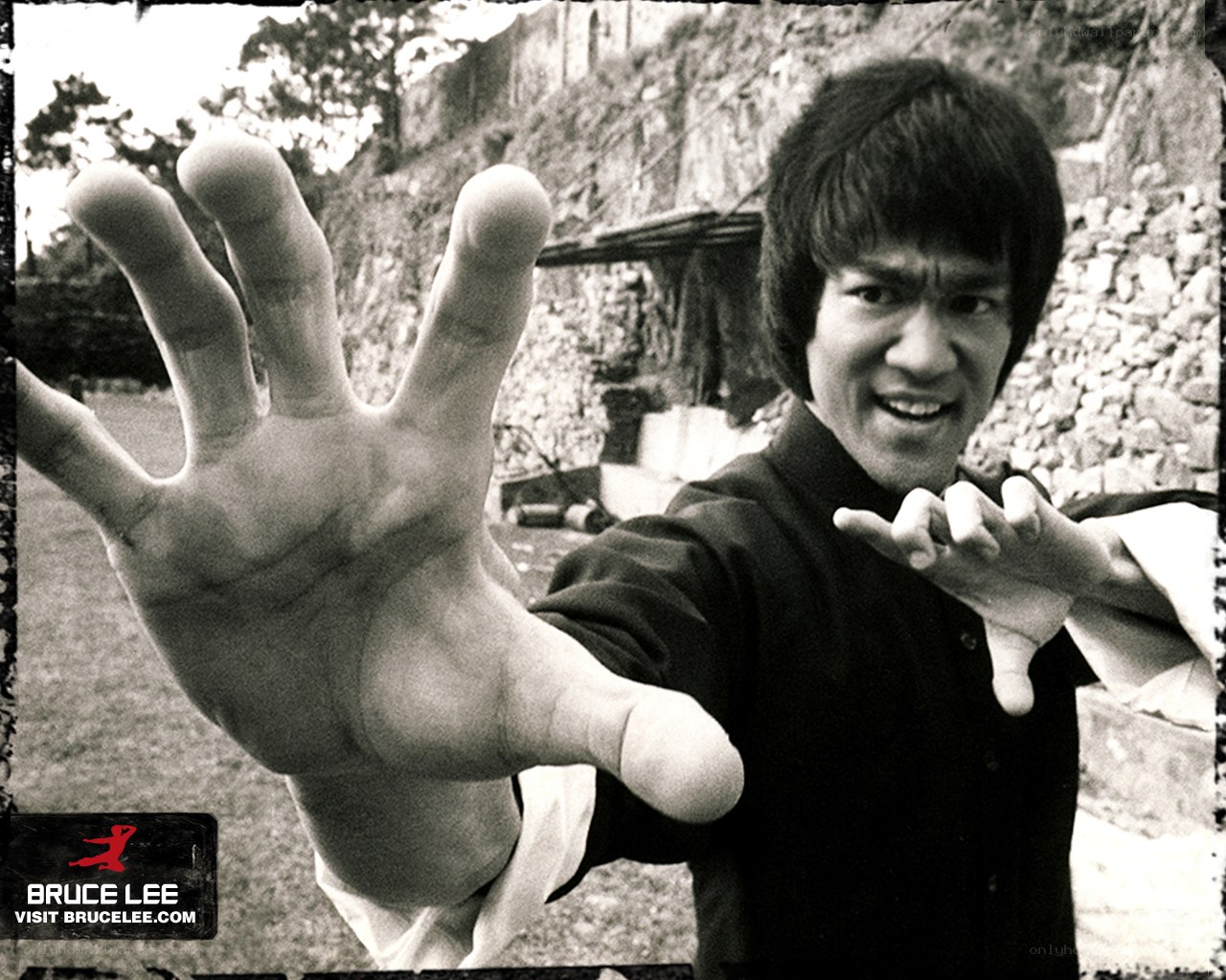 Bruce Lee in martial arts pose