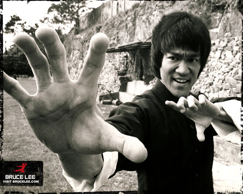 Bruce Lee in Martial Arts Pose — Black, Dynamic