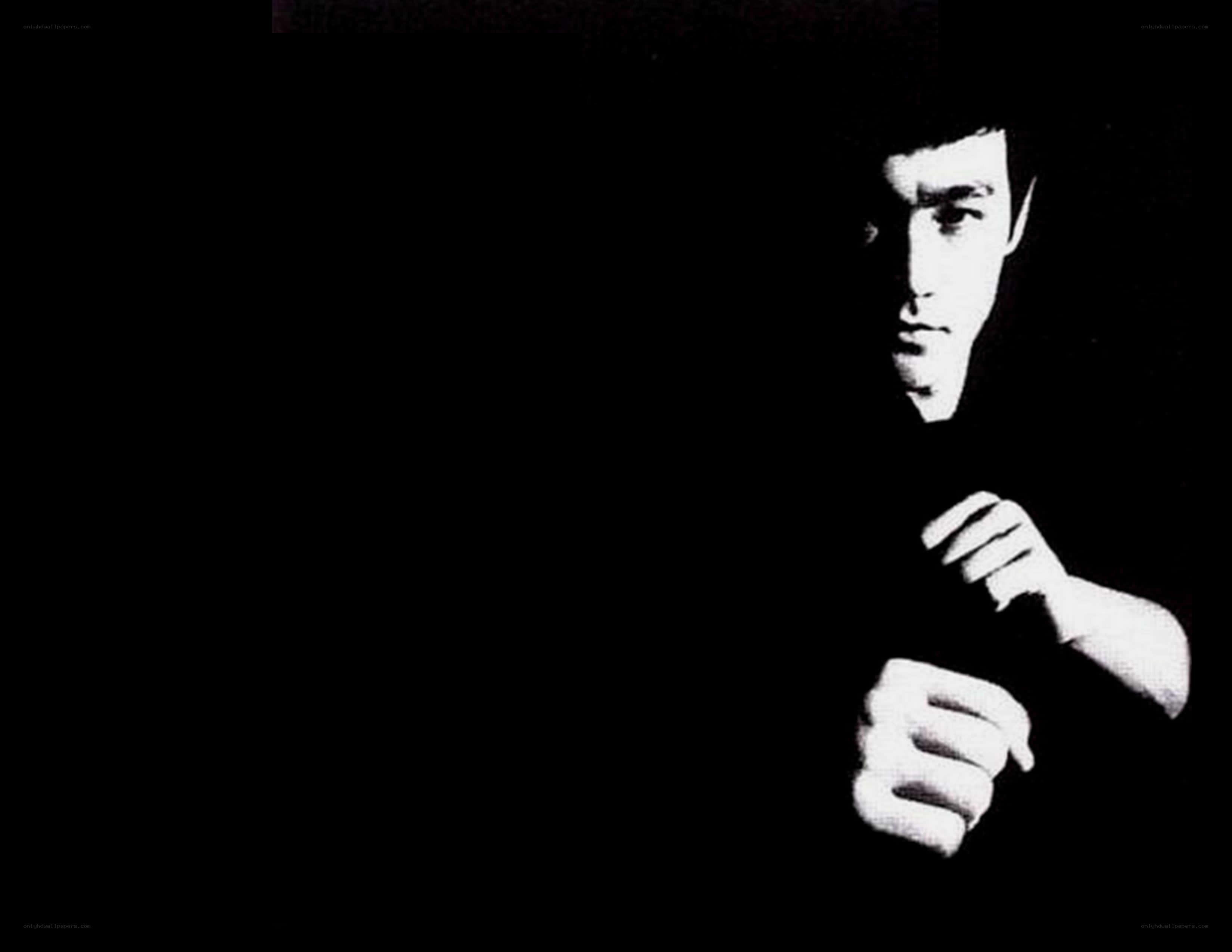 Bruce Lee in martial arts pose