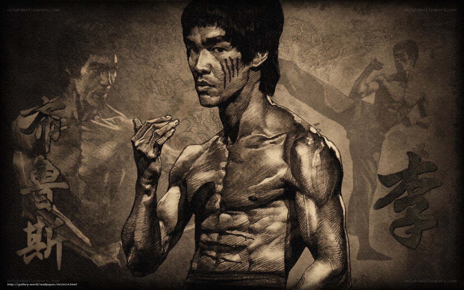 Bruce Lee martial arts portrait