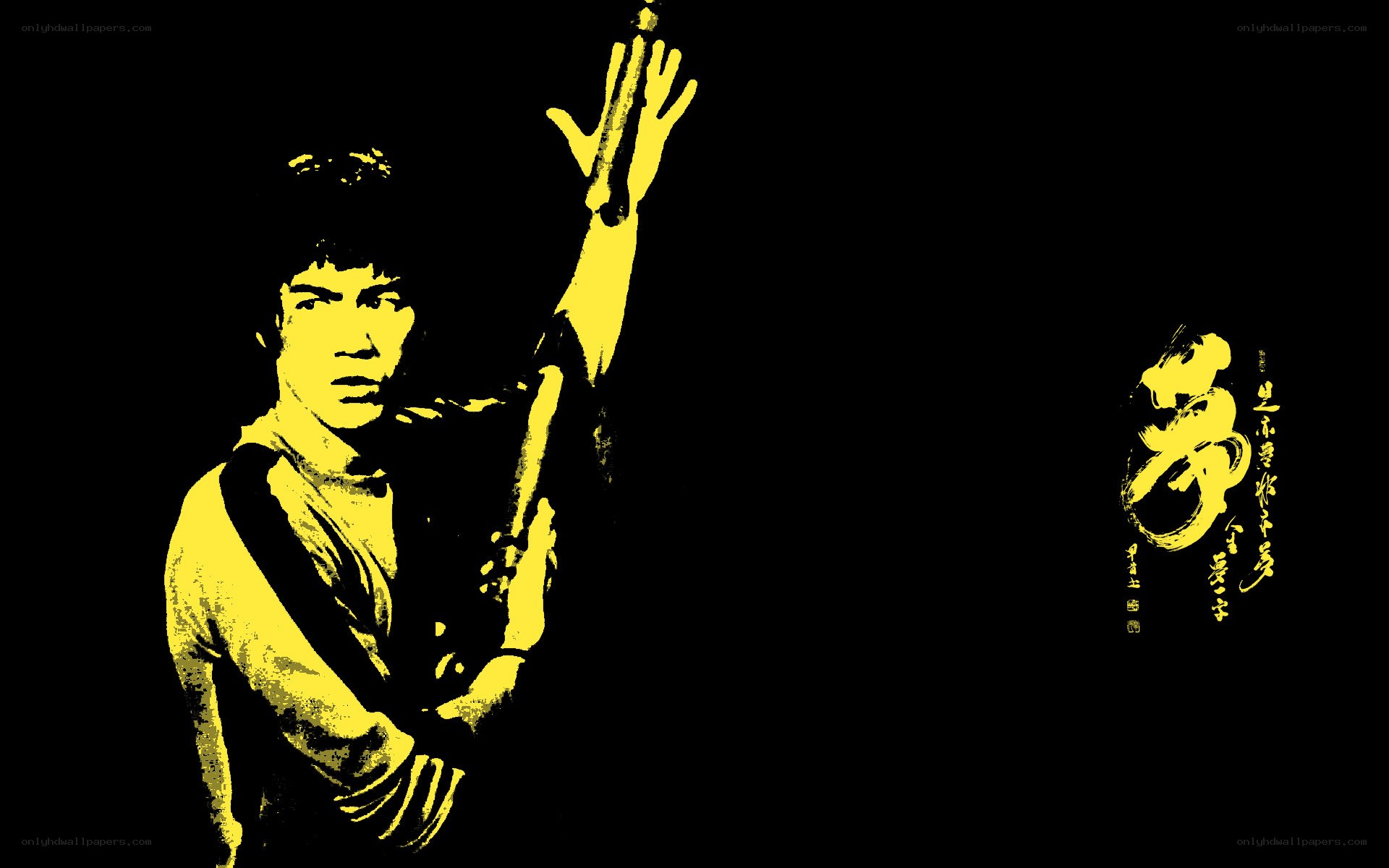 Bruce Lee martial arts pose
