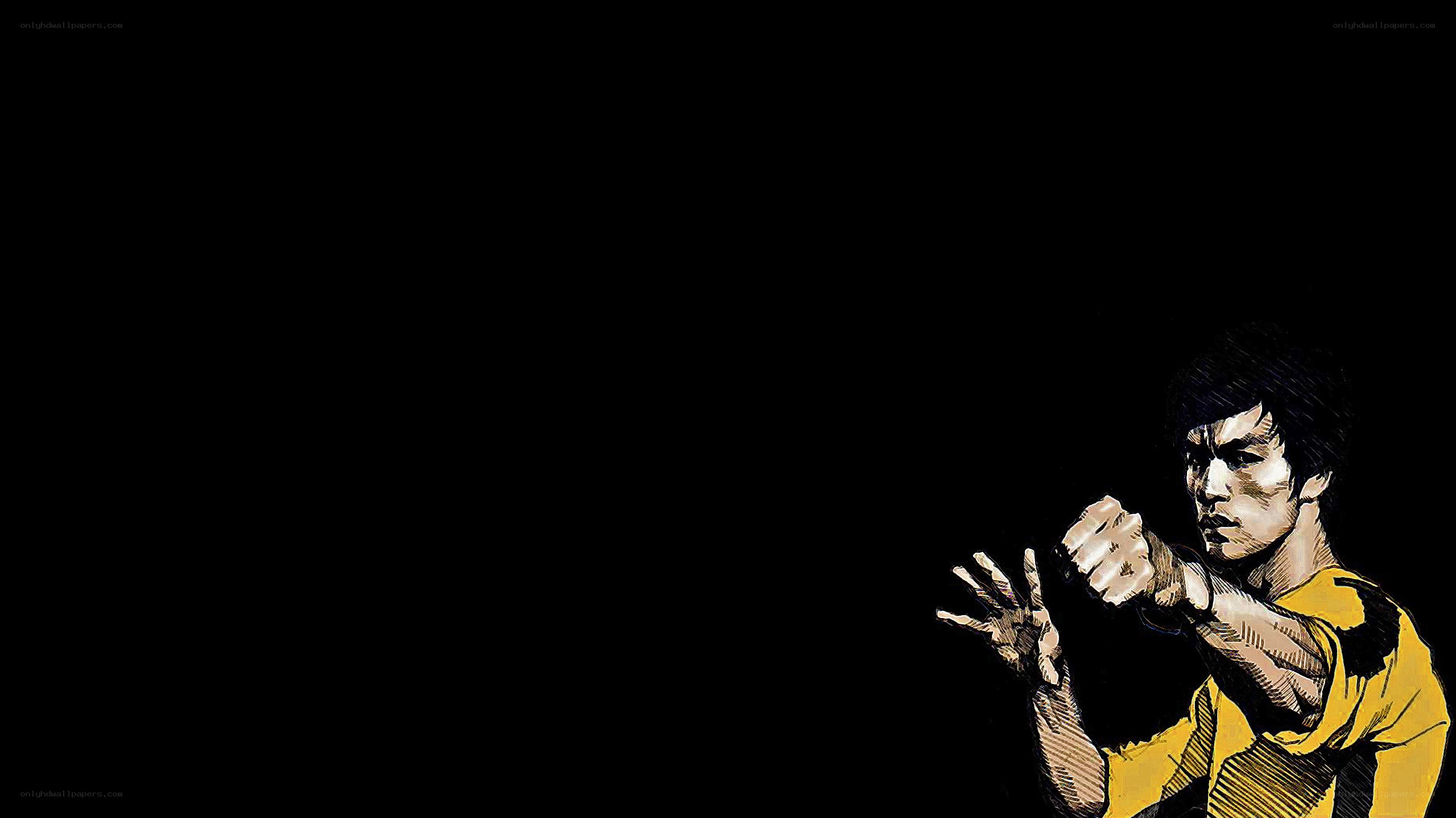 Bruce Lee martial arts pose