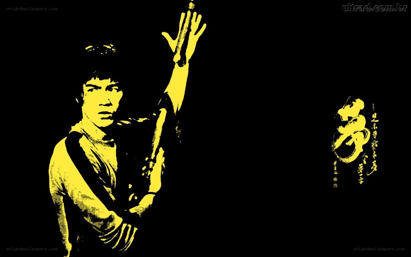 Bruce Lee martial arts pose