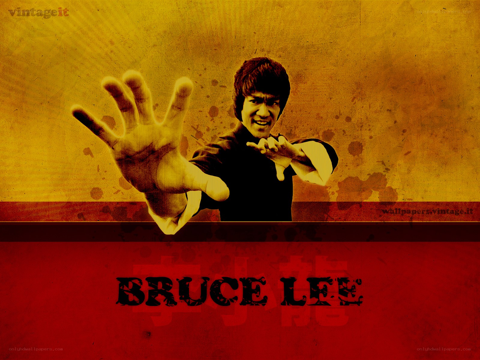Bruce Lee martial arts pose