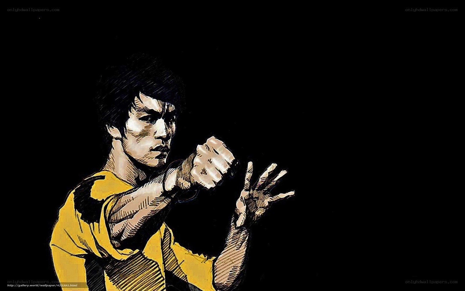 Bruce Lee martial arts pose