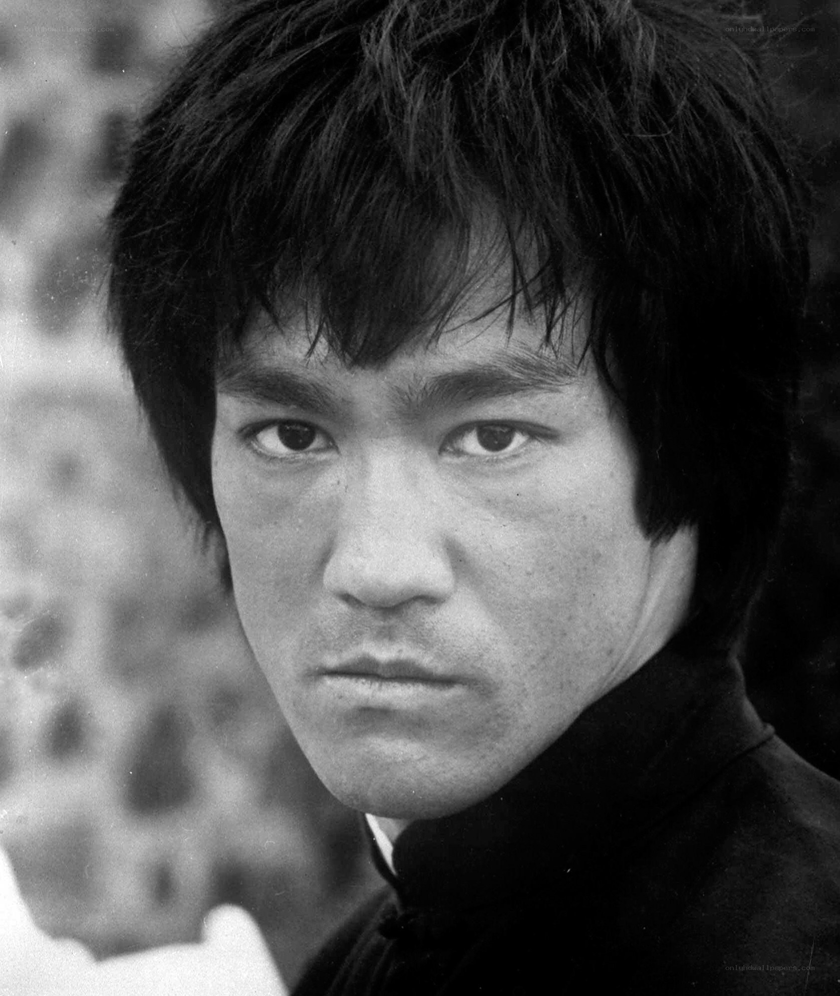 Bruce Lee portrait