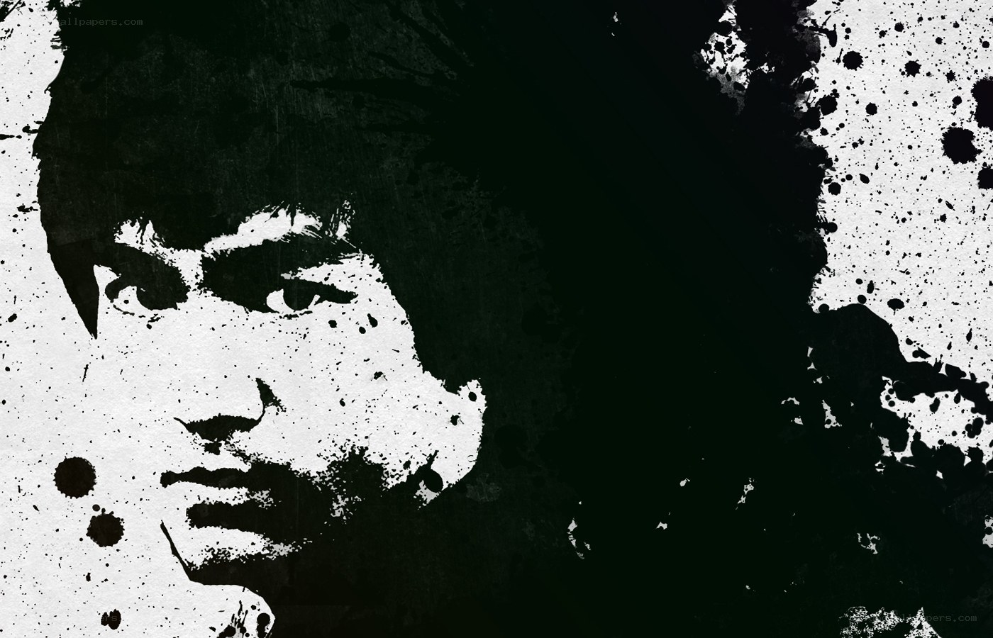 Bruce Lee portrait art