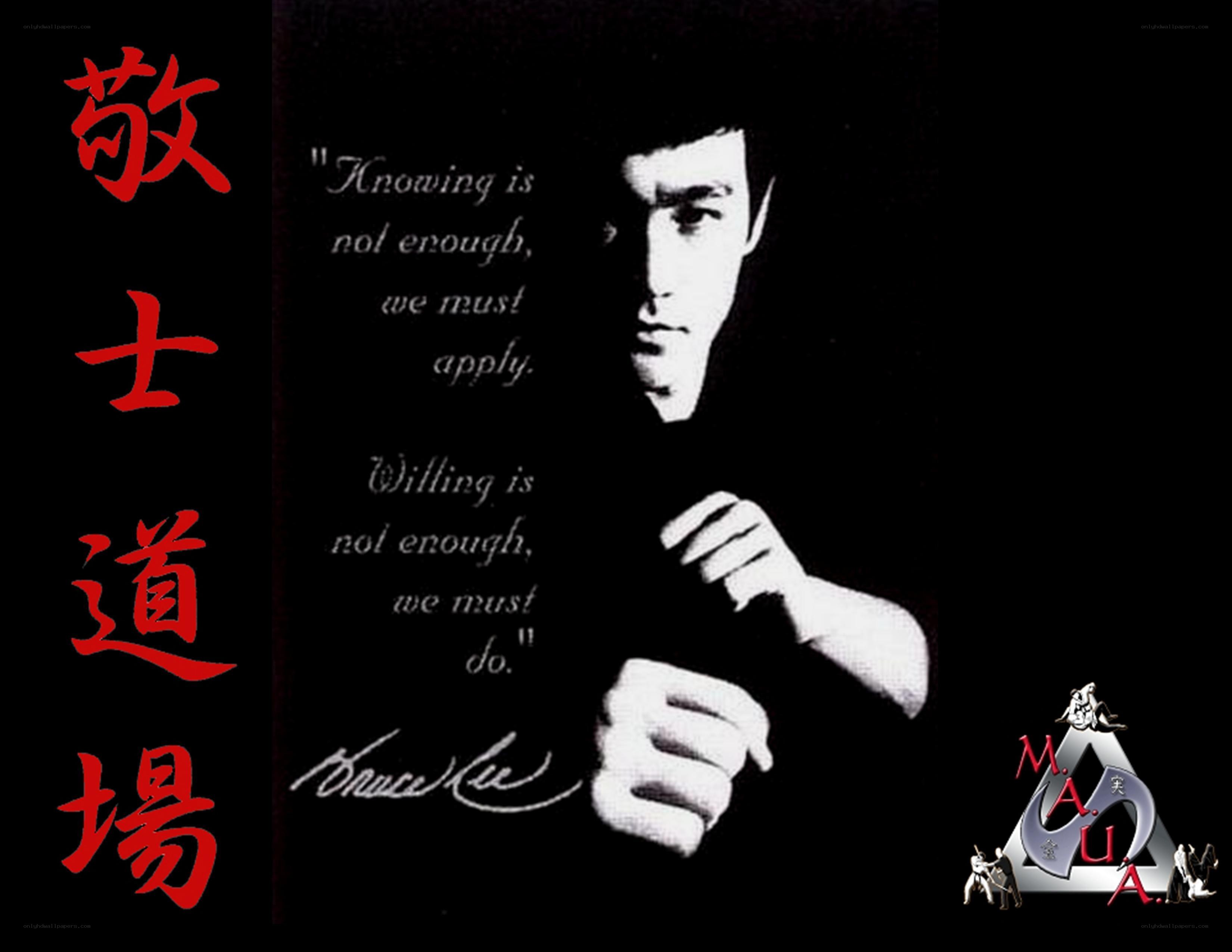 Bruce Lee quote and martial arts