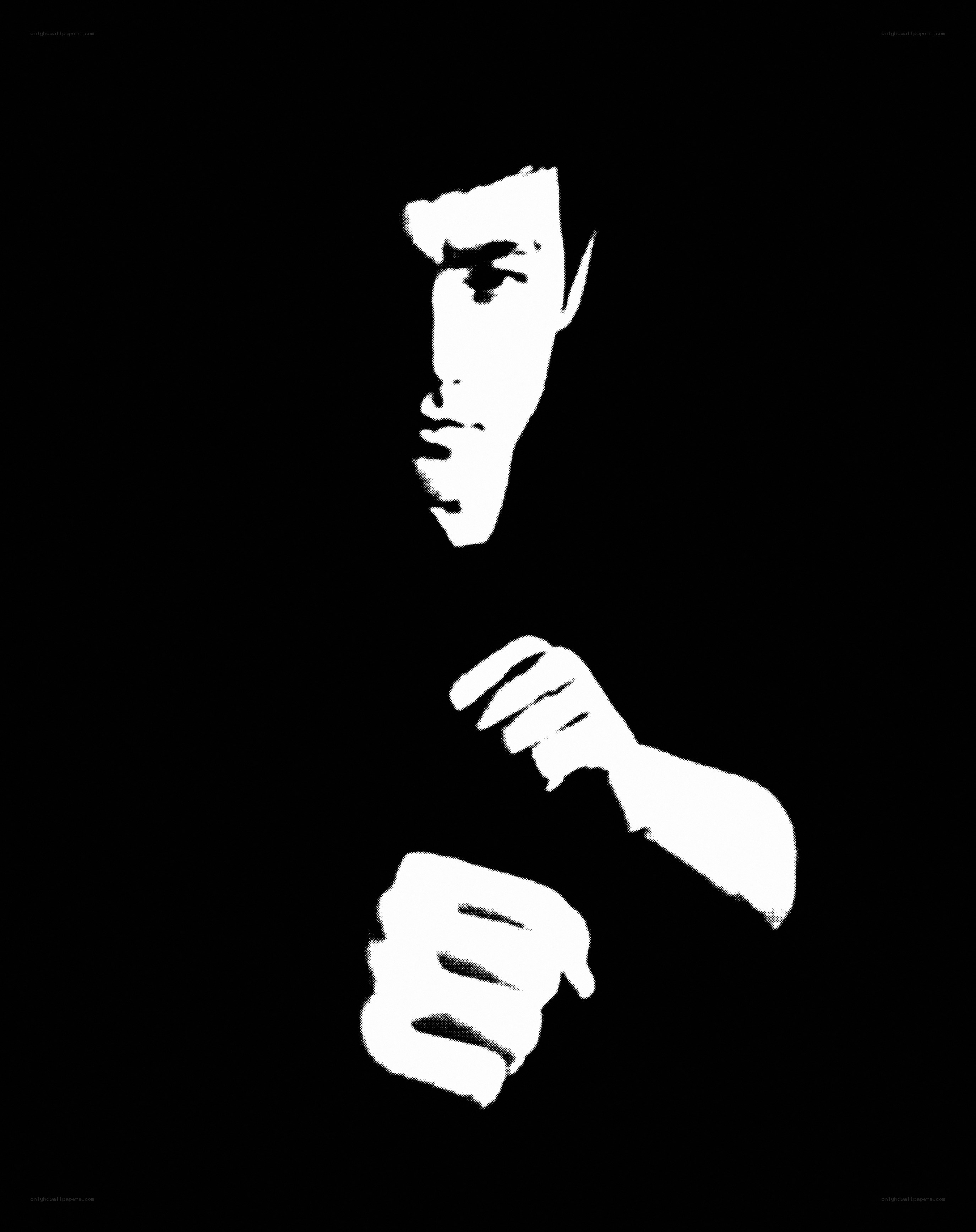 Bruce Lee silhouette portrait