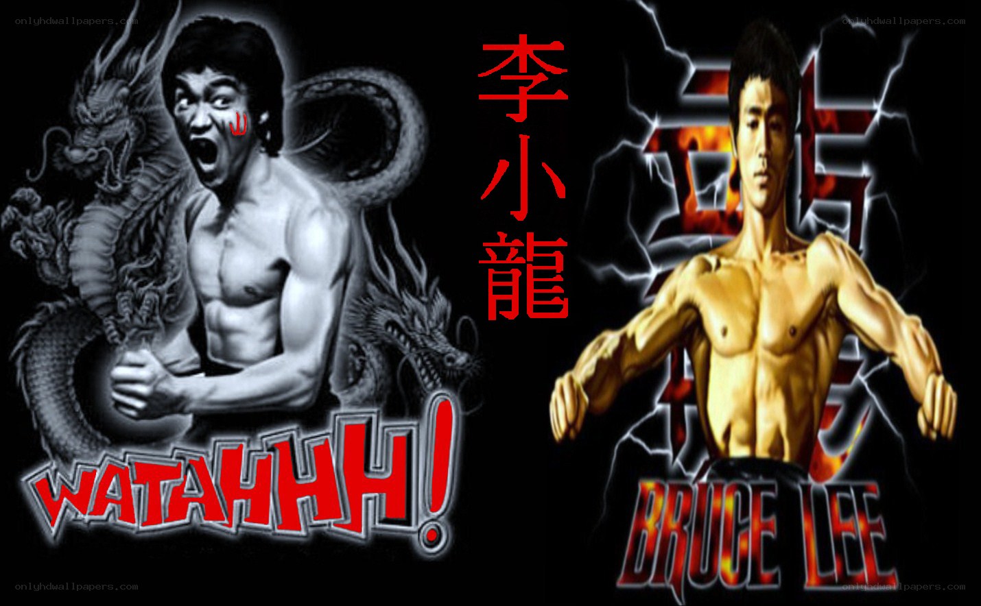 Bruce Lee tribute artwork