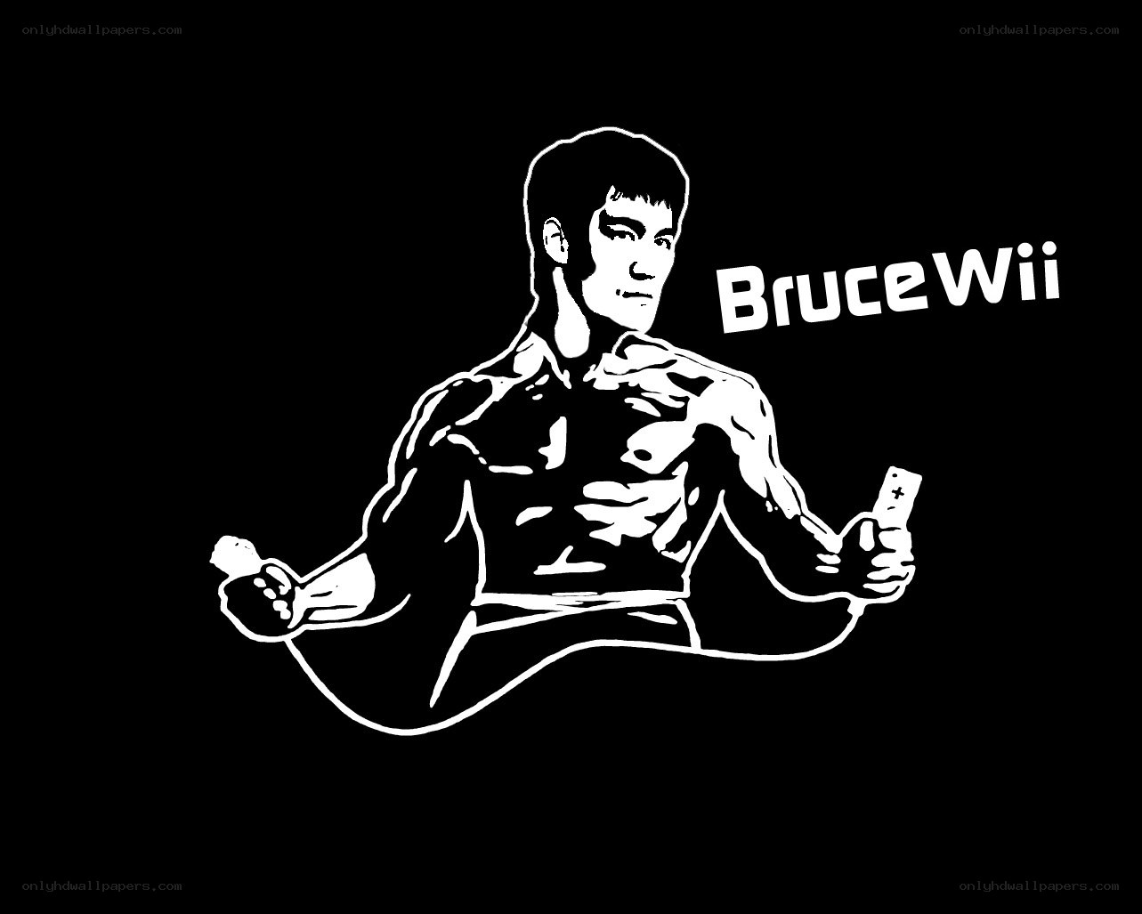 Bruce Lee Wii parody