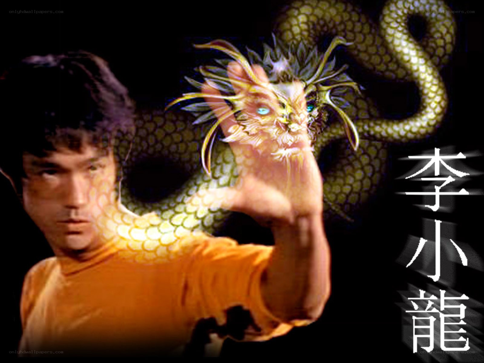 Bruce Lee with a dragon