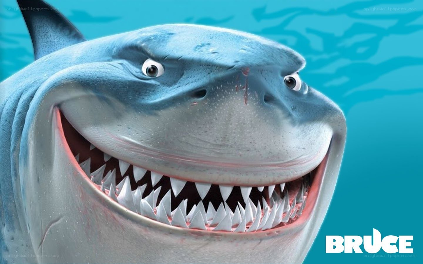 Bruce the shark character