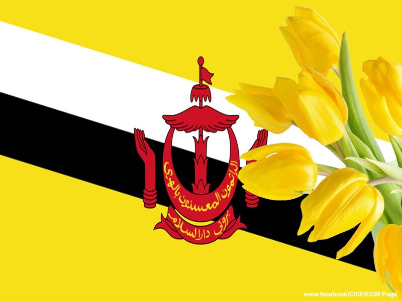 Brunei flag with tulips