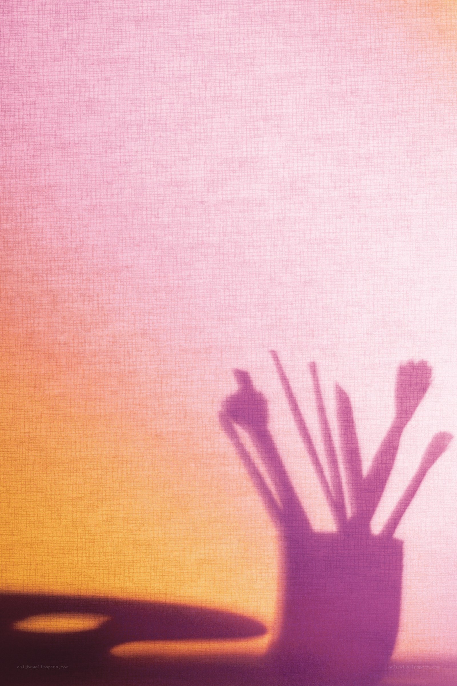 brushes in shadow