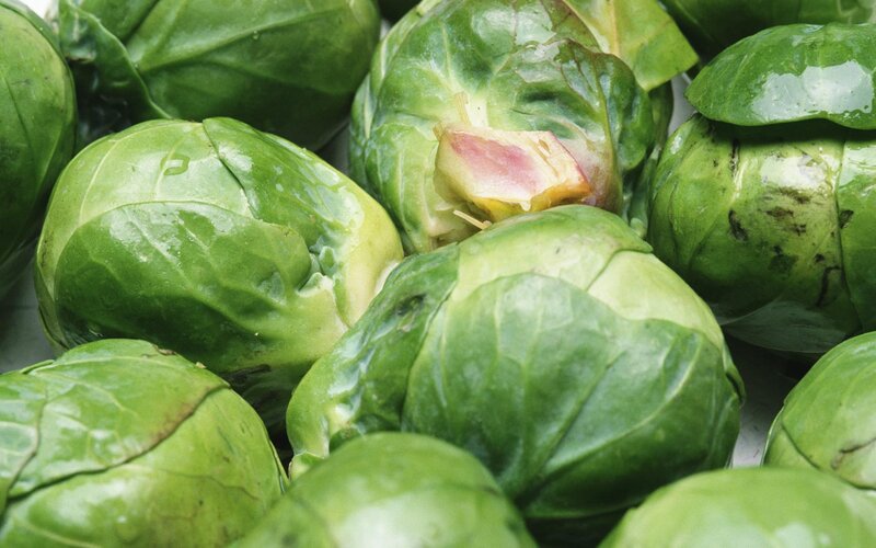 Brussels Sprouts