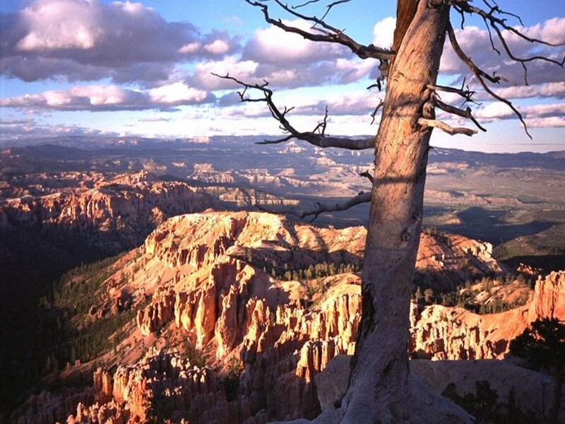 Bryce Canyon at sunset