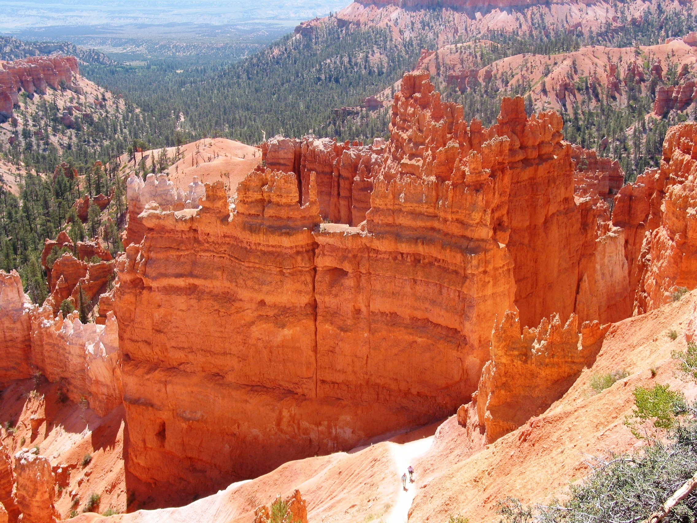 Bryce Canyon hoodoos