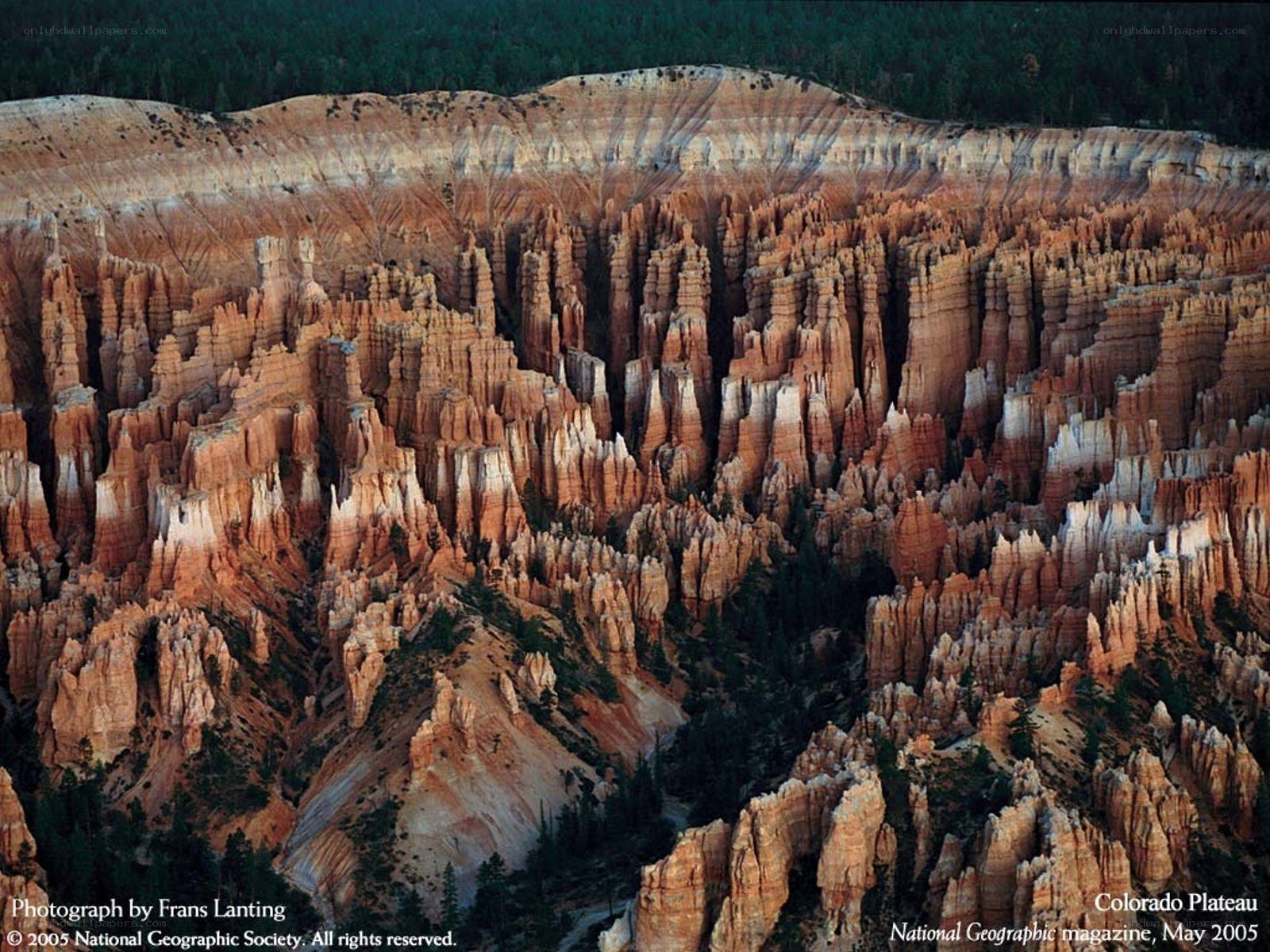 Bryce Canyon hoodoos