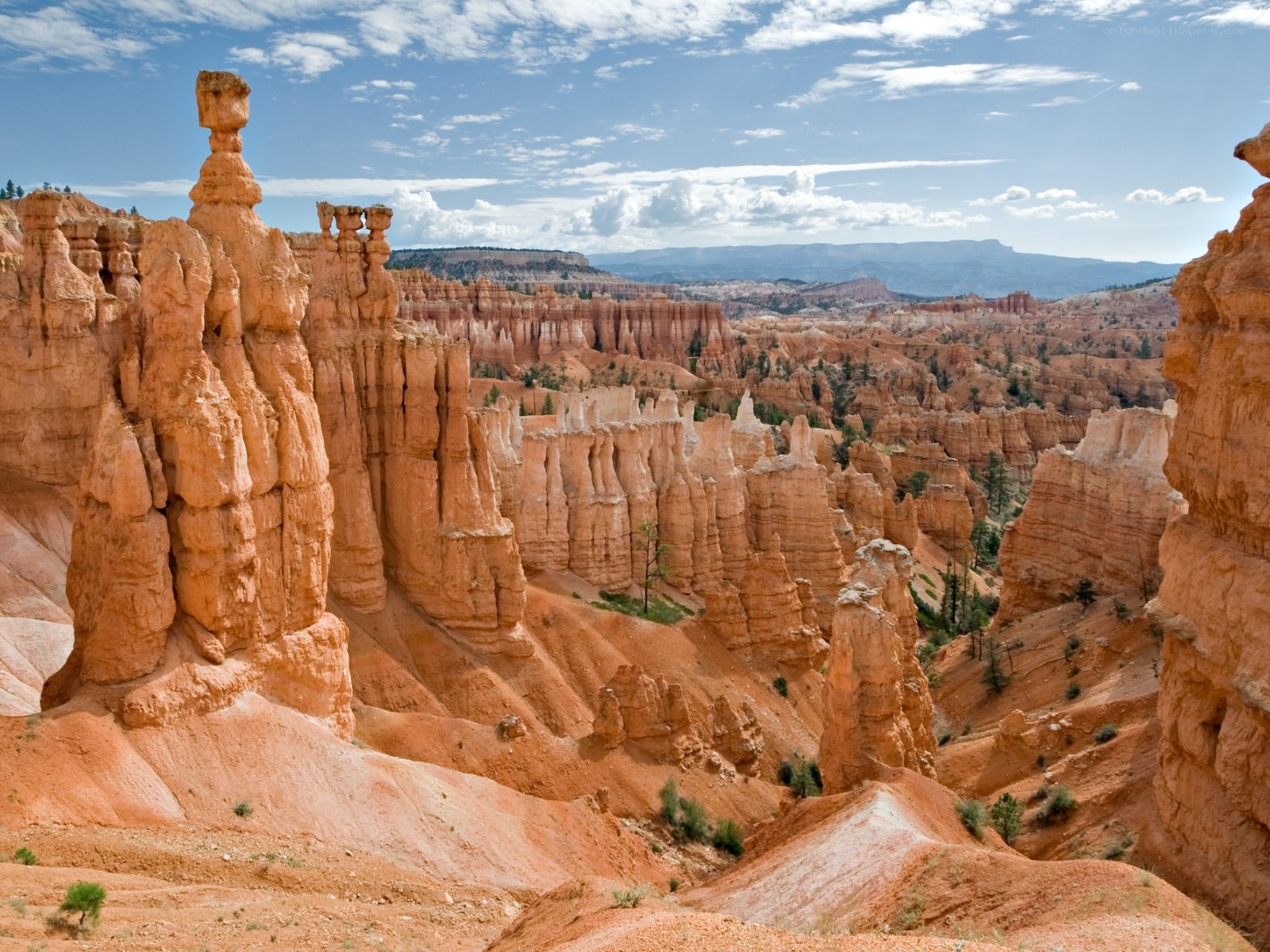 Bryce Canyon hoodoos