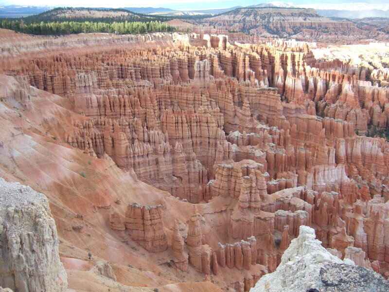 Bryce Canyon hoodoos
