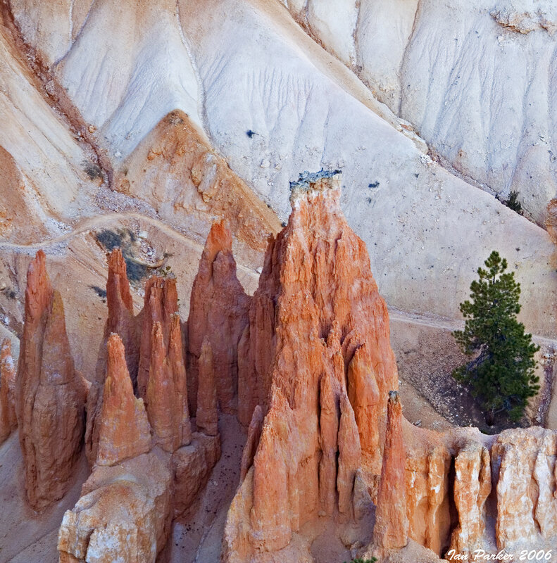 Bryce Canyon hoodoos