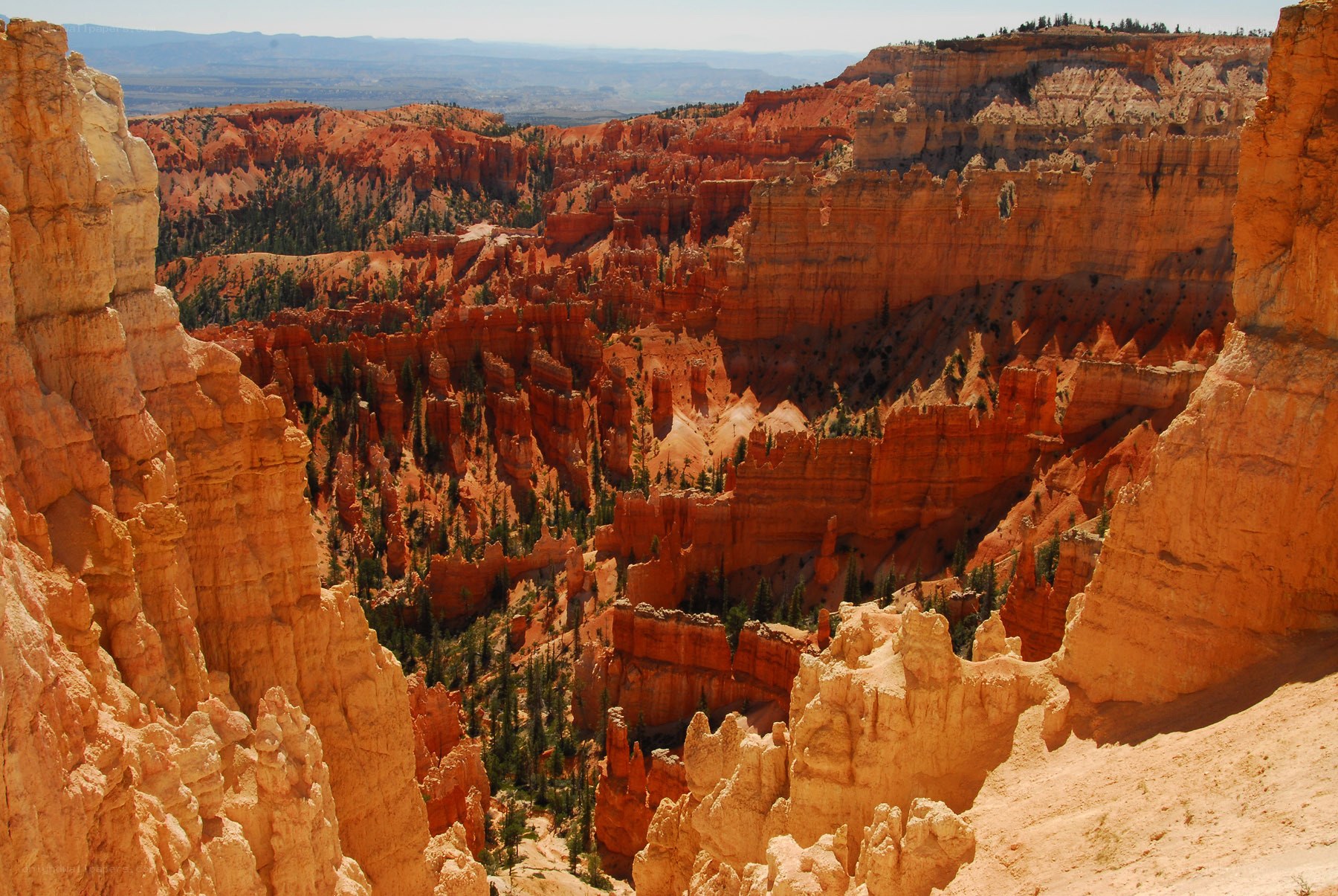 Bryce Canyon hoodoos