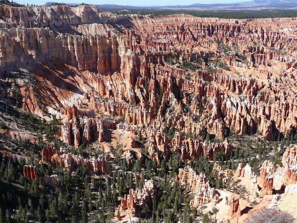 Bryce Canyon hoodoos