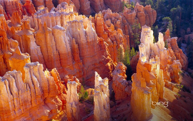 Bryce Canyon hoodoos