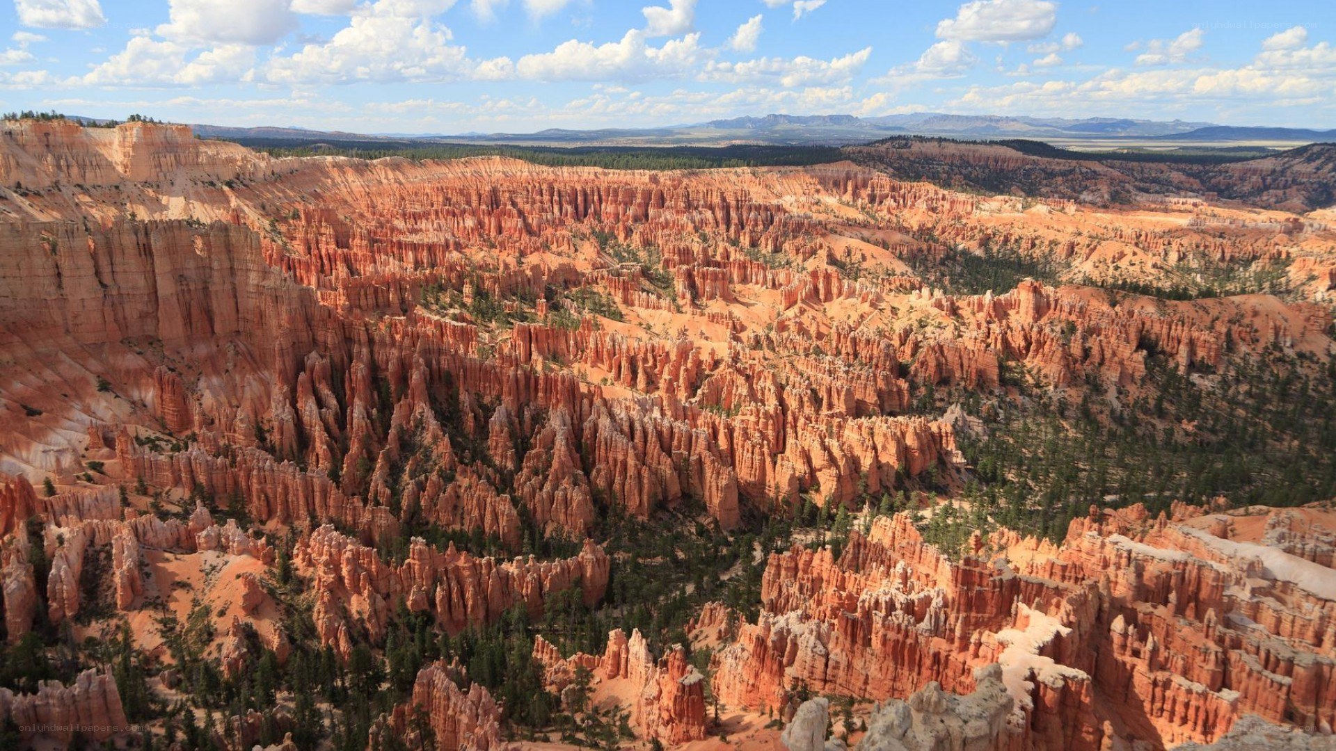 Bryce Canyon hoodoos