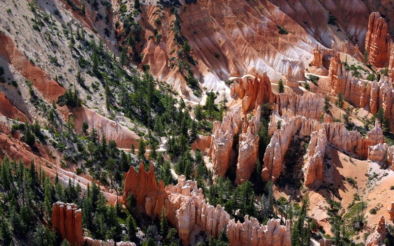 Bryce Canyon hoodoos